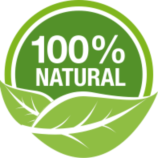 Neuro Surge Natural Ingredients